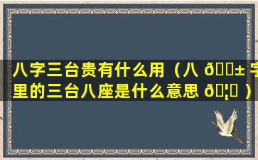 八字三台贵有什么用（八 🐱 字里的三台八座是什么意思 🦄 ）